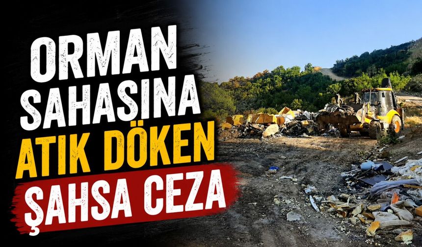 ORMAN SAHASINA ATIK DÖKEN ŞAHSA CEZA