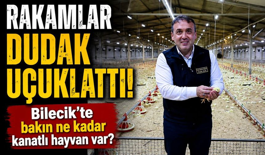 11,5 MİLYON KANATLI HAYVANA EV SAHİPLİĞİ YAPIYOR