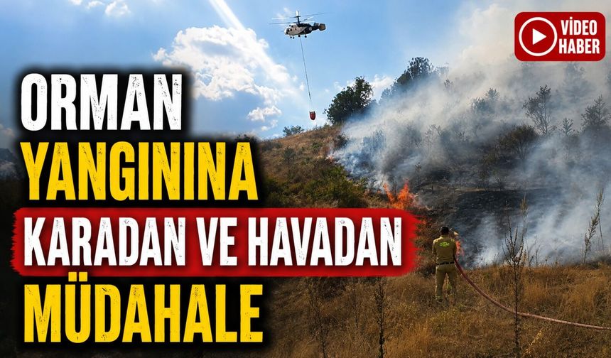 BOZÜYÜK’TE ORMAN YANGINI