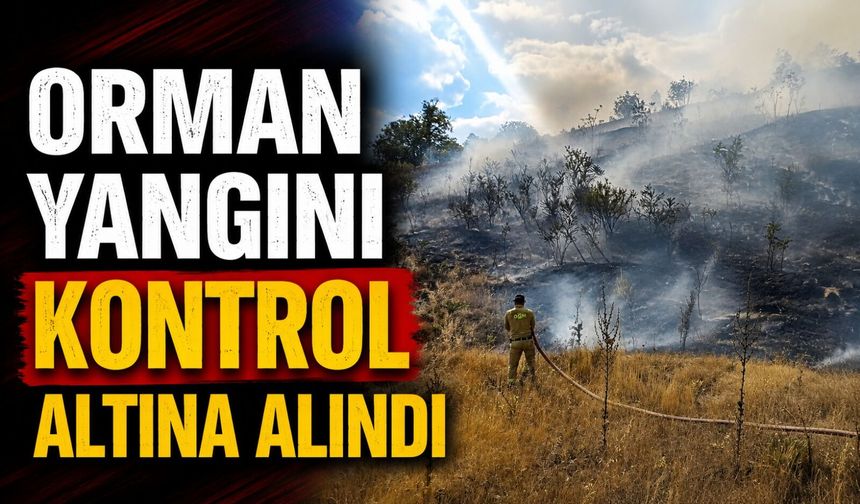 ORMAN YANGINI KONTROL ALTINA ALINDI