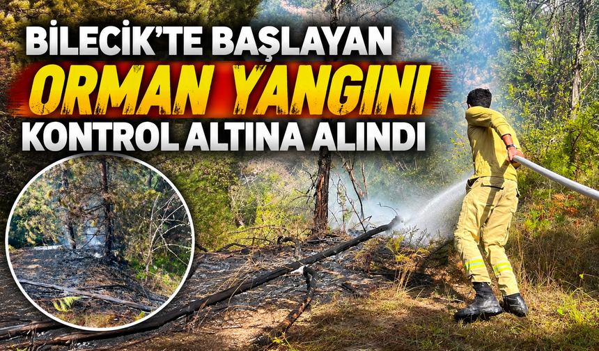 BİLECİK'TE BAŞLAYAN ORMAN YANGINI KONTROL ALTINA ALINDI