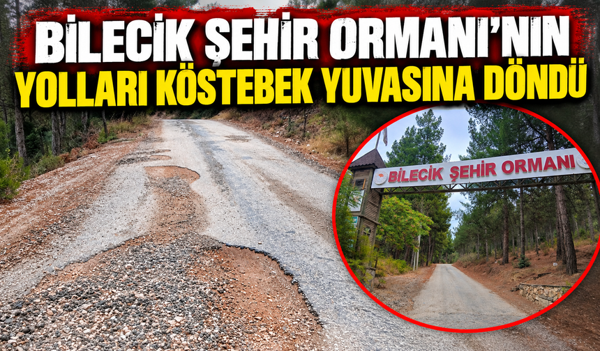 ŞEHİR ORMANI'NIN YOLLARI KÖSTEBEK YUVASINA DÖNDÜ