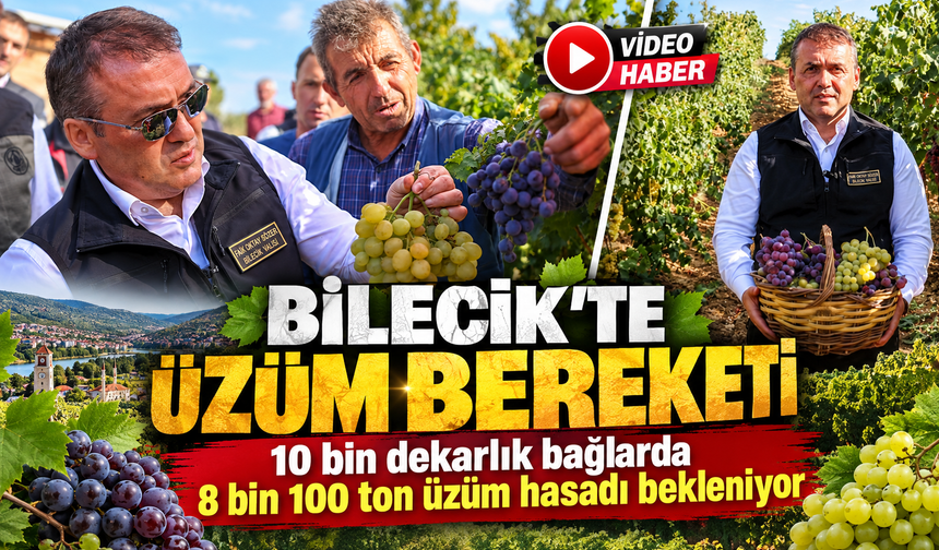 BİLECİK'TE ÜZÜM BEREKETİ