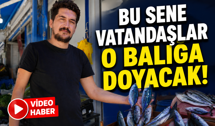 BU SENE VATANDAŞLAR O BALIĞA DOYACAK