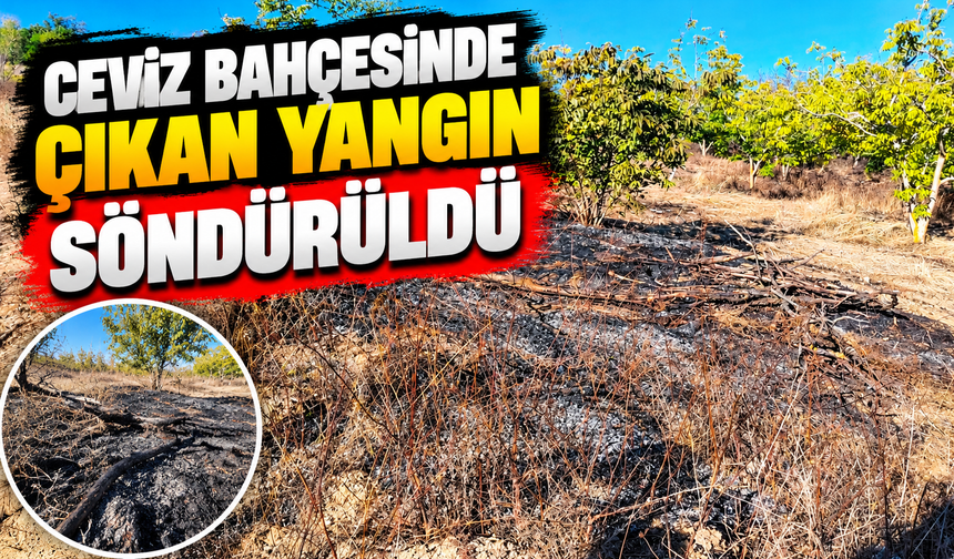 CEVİZ BAHÇESİNDE ÇIKAN YANGIN SÖNDÜRÜLDÜ