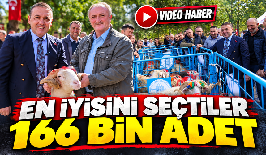 166 BİN KÜÇÜKBAŞ İÇİN KOÇ KATIM DÖNEMİ BAŞLADI