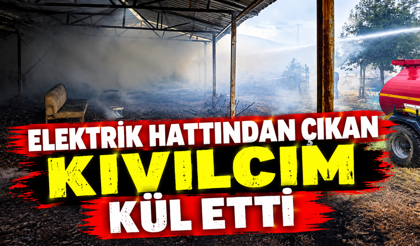 ELEKTRİK HATTINDAN ÇIKAN KIVILCIM BAHÇEYİ ALEVLERE TESLİM ETTİ