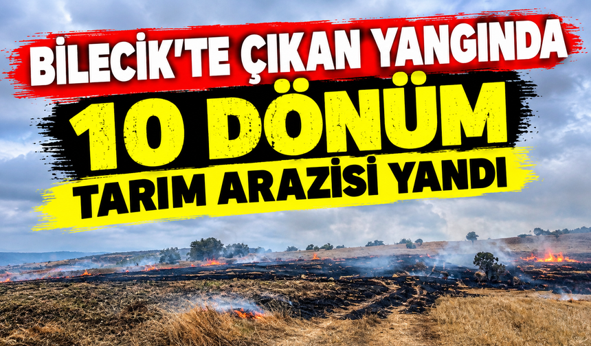 BİLECİK'TE 10 DÖNÜM TARIM ARAZİSİ YANDI