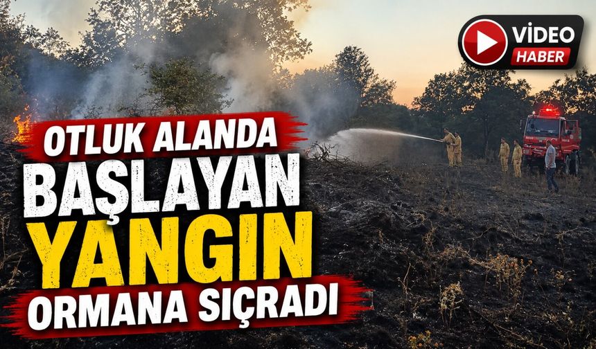 OTLUK ALANDA BAŞLAYAN YANGIN ORMANA SIÇRADI