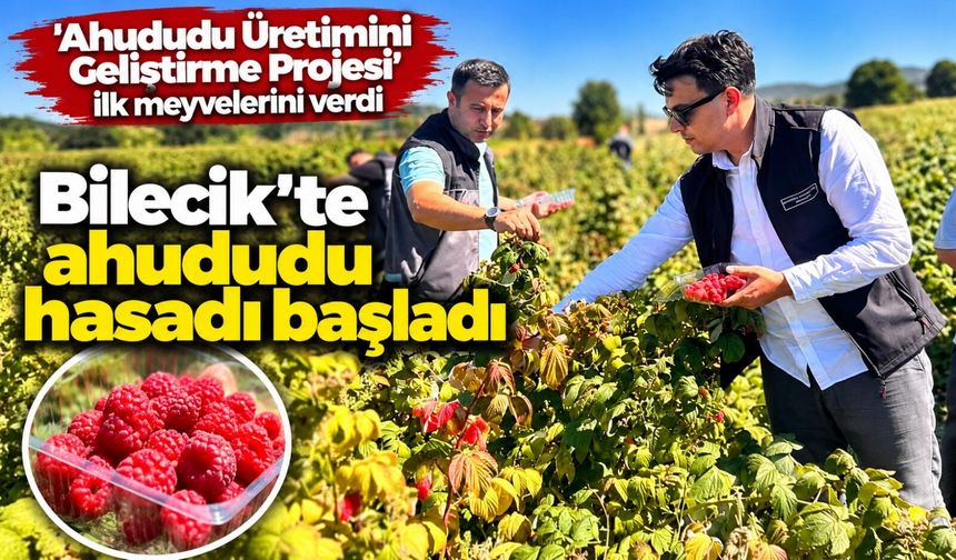 AHUDUDU HASADI BAŞLADI