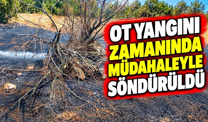 KÖY YAKININDA OT YANGINI