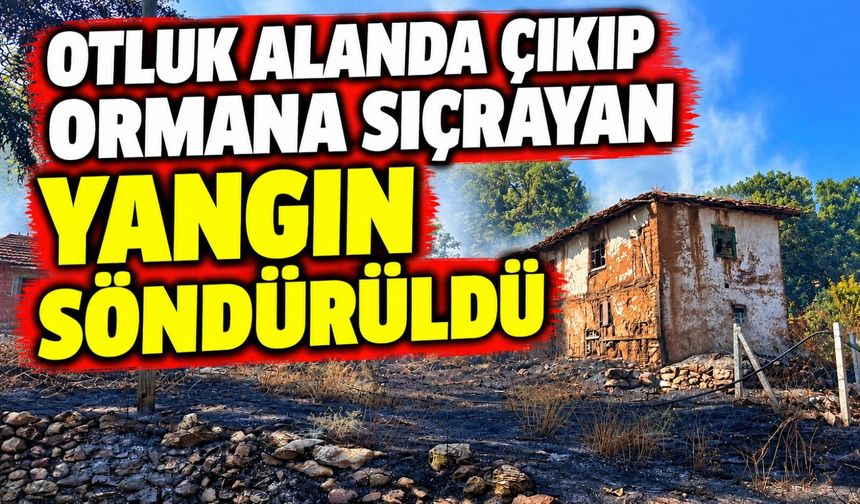 OTLUK ALANDA ÇIKIP ORMANA SIÇRAYAN YANGIN SÖNDÜRÜLDÜ