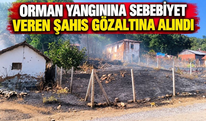 ORMAN YANGININA SEBEBİYET VEREN ŞAHIS GÖZALTINA ALINDI