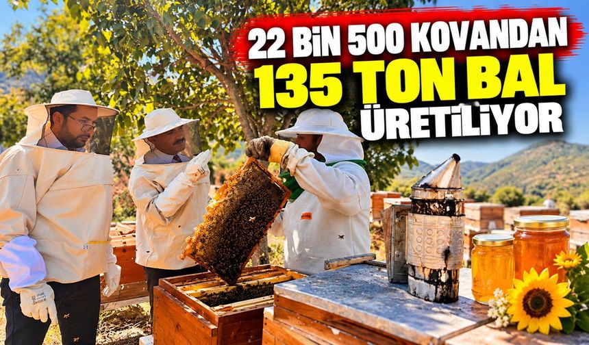 22 BİN 500 KOVANDAN 135 TON BAL ÜRETİLİYOR