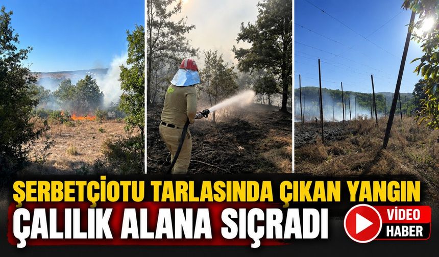 ŞERBETÇİOTU TARLASINDA ÇIKAN YANGIN ÇALILIK ALANA SIÇRADI