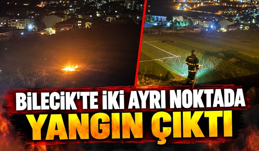 BİLECİK'TE İKİ AYRI NOKTADA YANGIN ÇIKTI