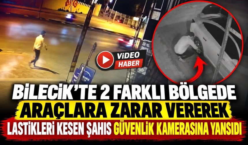 BİLECİK'TE 2 FARKLI BÖLGEDE ARAÇLARA ZARAR VEREREK LASTİKLERİ KESEN ŞAHIS GÜVENLİK KAMERASINA YANSIDI