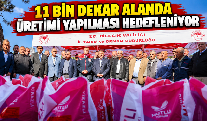 11 BİN DEKAR ALANDA ÜRETİM YAPILMASI HEDEFLENİYOR