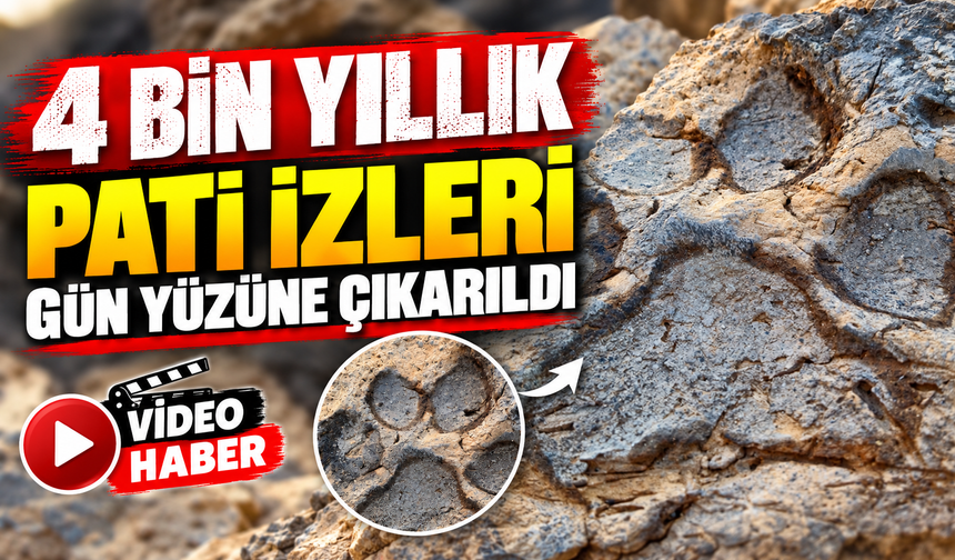 4 BİN YILLIK PATİ İZLERİ GÜN YÜZÜNE ÇIKARILDI