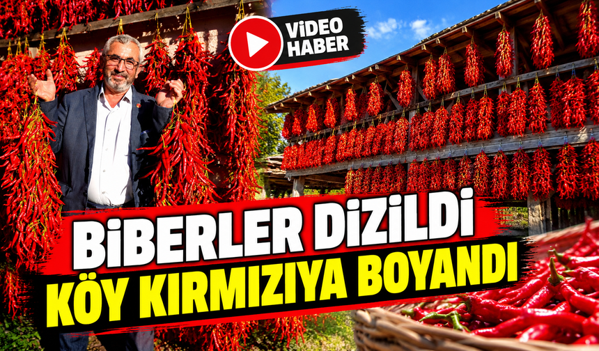 BİBERLER DİZİLDİ, KÖY KIRMIZIYA BOYANDI