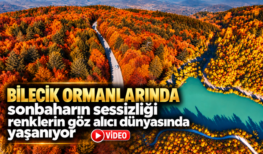 BİLECİK ORMANLARINDA SONBAHARIN SESSİZLİĞİ RENKLERİN GÖZ ALICI DÜNYASINDA YAŞANIYOR
