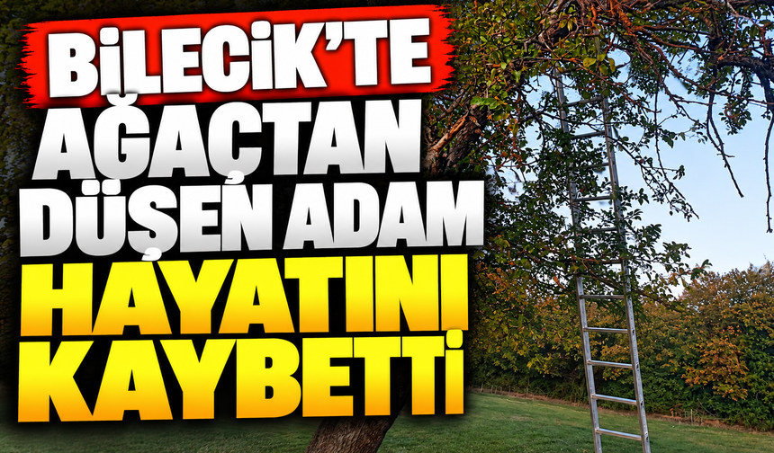 AĞAÇTAN DÜŞEN ADAM HAYATINI KAYBETTİ