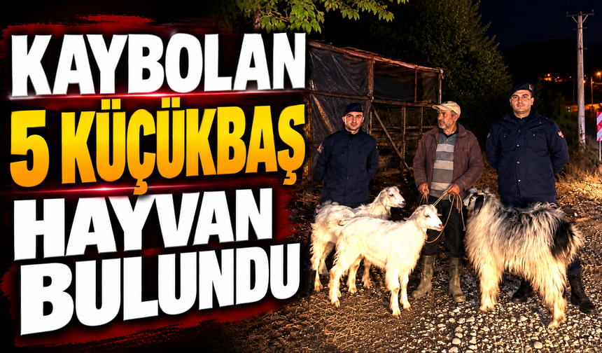 KAYBOLAN 5 KÜÇÜKBAŞ HAYVAN BULUNDU