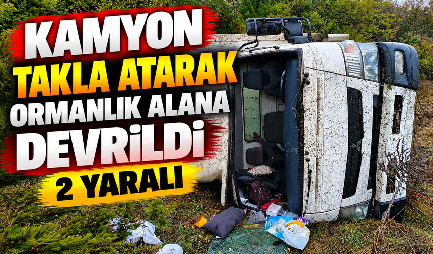 KAMYON TAKLA ATARAK ORMANLIK ALANA DEVRİLDİ: 2 YARALI