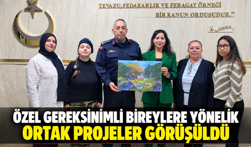 ÖZEL GEREKSİNİMLİ BİREYLERE YÖNELİK ORTAK PROJELER GÖRÜŞÜLDÜ