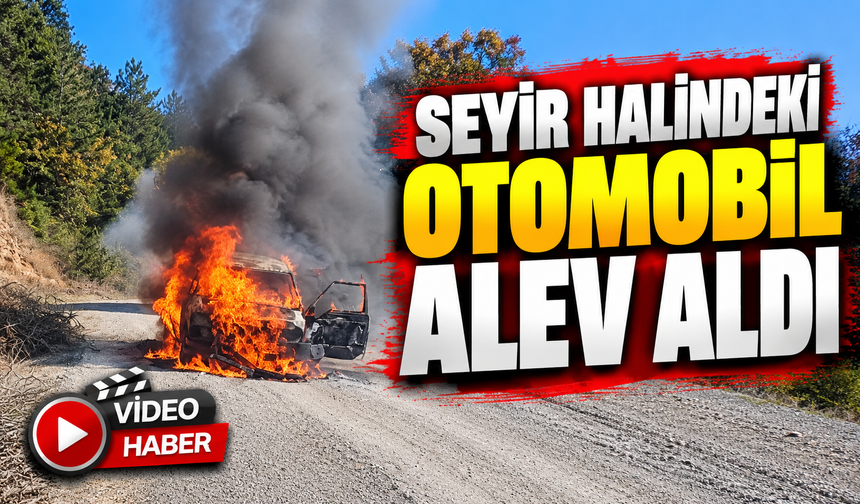 BİLECİK'TE SEYİR HALİNDEKİ OTOMOBİL ALEV ALDI