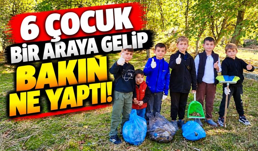 MAHALLELERİNİ TEMİZLEMEK İÇİN KOLLARI SIVADI