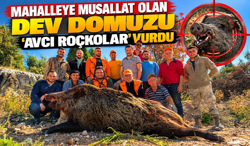 MAHALLEYE MUSALLAT OLAN DEV DOMUZU 'AVCI ROÇKOLAR' VURDU