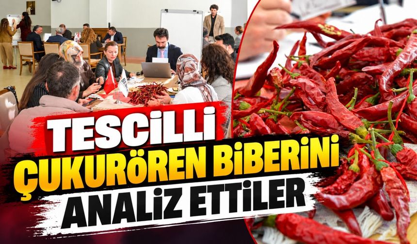 TESCİLLİ 'ÇUKURÖREN BİBERİ ANALİZ ÇALIŞTAYI' GERÇEKLEŞTİRİLDİ