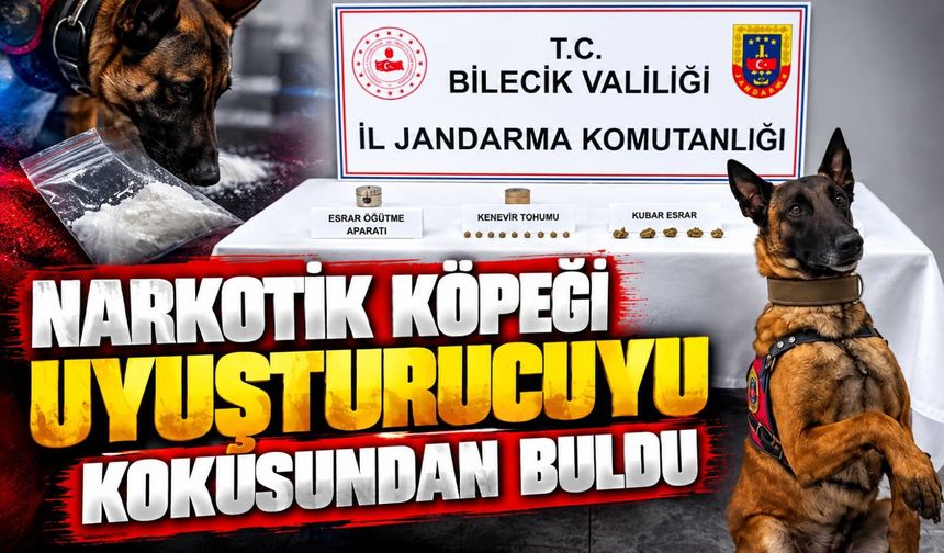NARKOTİK KÖPEĞİ UYUŞTURUCUYU KOKUSUNDAN BULDU