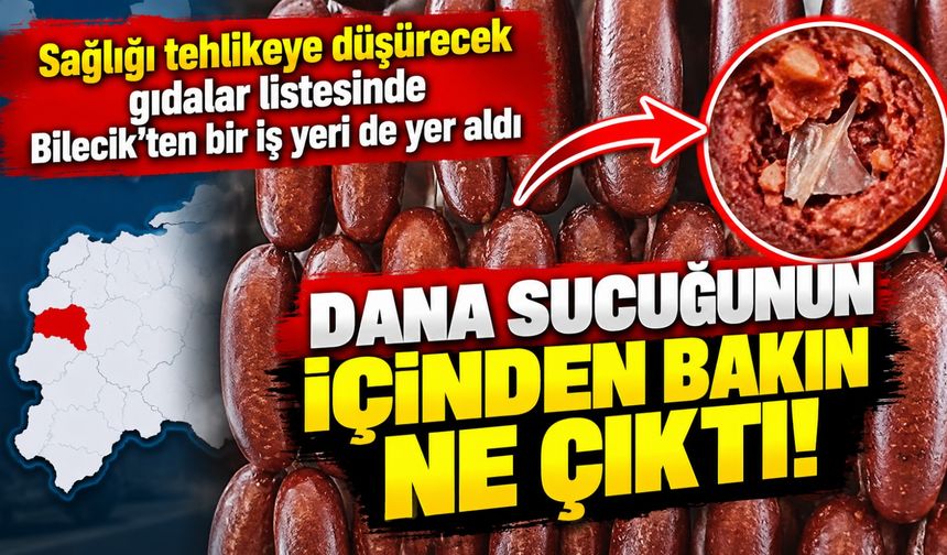SAĞLIĞI TEHLİKEYE DÜŞÜRECEK GIDALAR LİSTESİNDE BİLECİK'TEN BİR İŞ YERİ DE YER ALDI