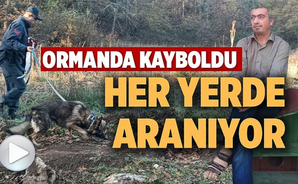 MANTAR TOPLAMAK İÇİN GİTTİĞİ ORMANLIK ALANDA KAYBOLAN ADAMI 96 KİŞİLİK EKİP ARIYOR