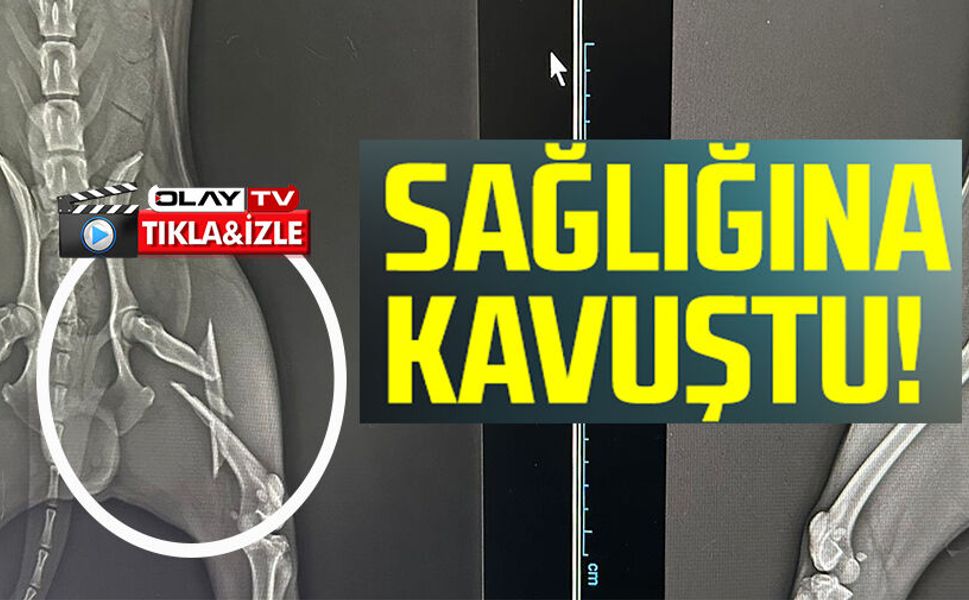 2 SAATLİK AMELİYATLA ESKİ SAĞLIĞINA KAVUŞTU