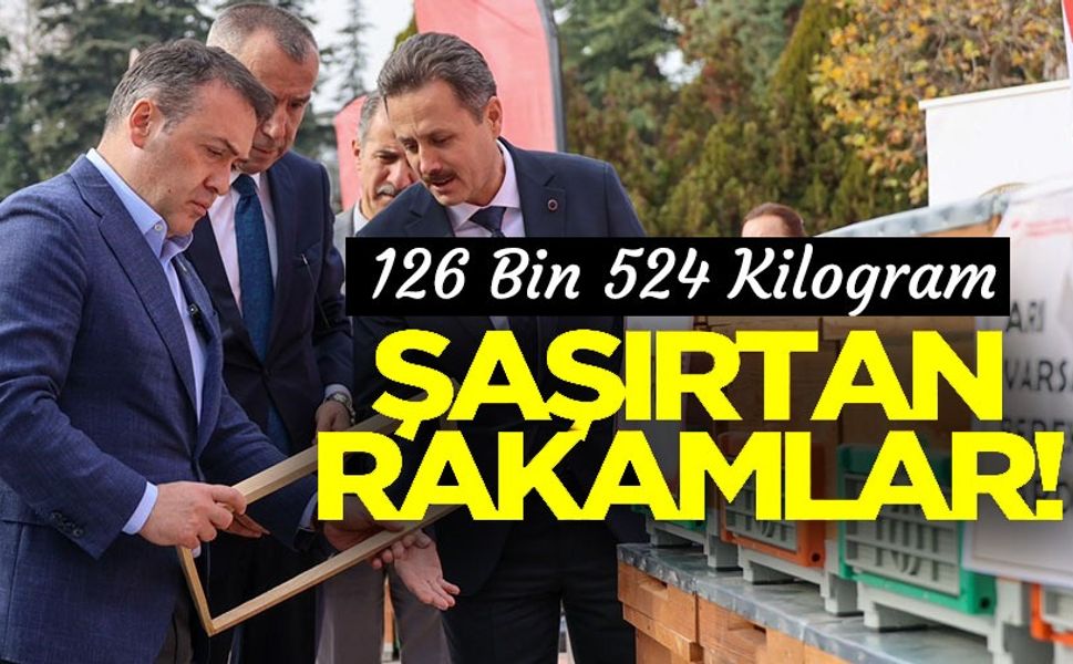 BU YIL 126 BİN 524 KİLOGRAM BAL ÜRETİLDİ