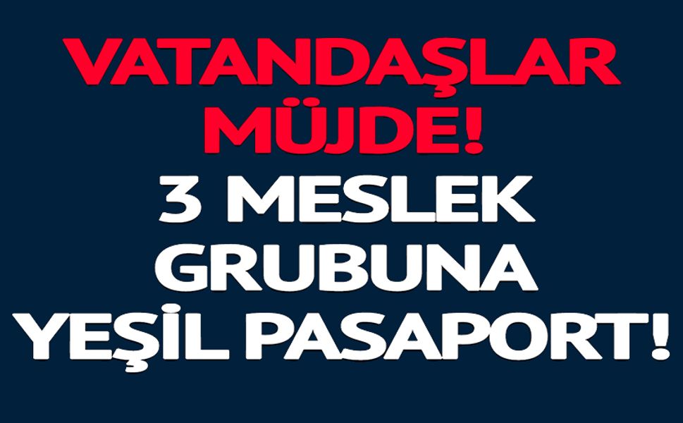 3 MESLEK GRUBUNA YEŞİL PASAPORT