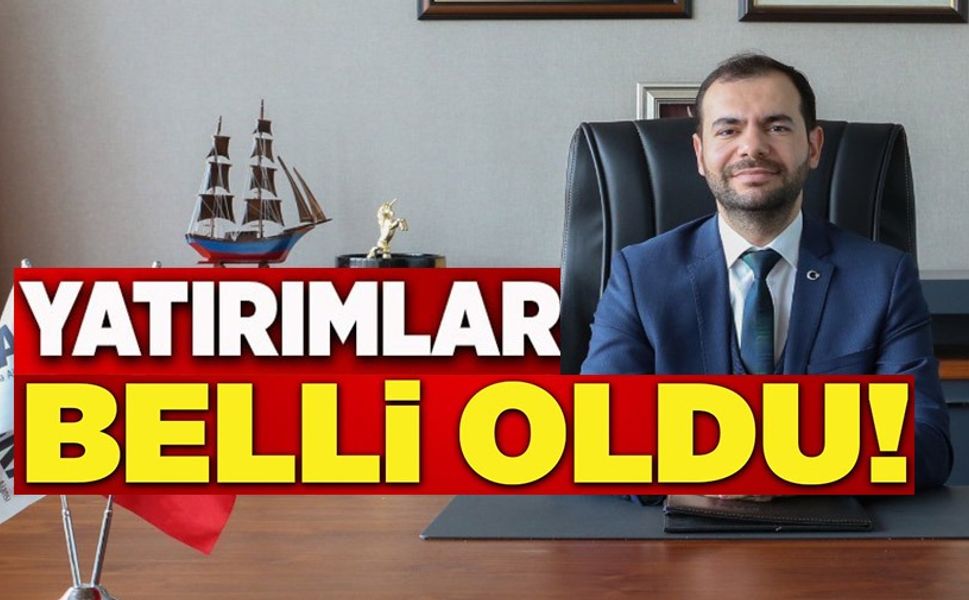 YENİ YATIRIM ALANLARI BELLİ OLDU