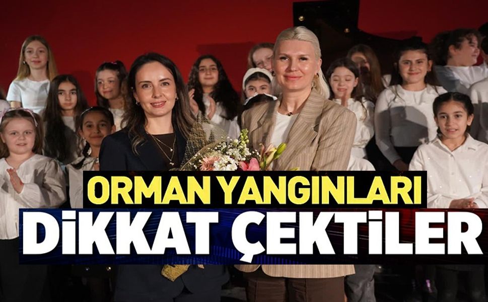 BURSA'DA ORMAN YANGINLARINA DİKKAT ÇEKEN PİYANO KONSERİ VERDİLER