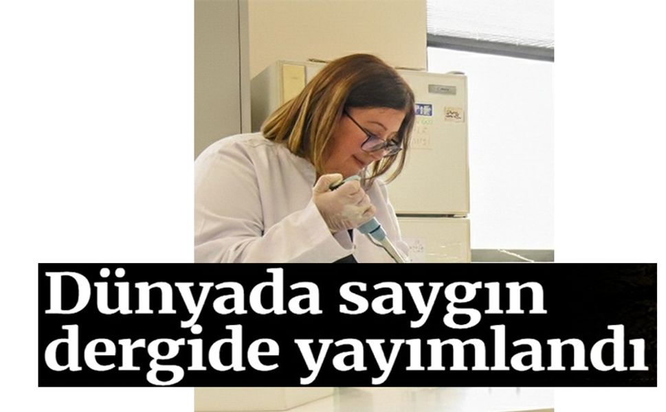 BŞEÜ'DEN DÜNYANIN EN SAYGIN DERGİLERİNDEN FOOD CHEMISTRY'DE BİR YAYIN DAHA