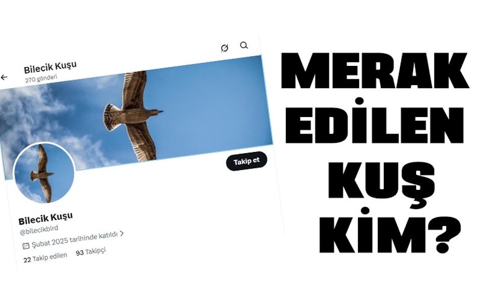 BİLECİK KUŞU KİM