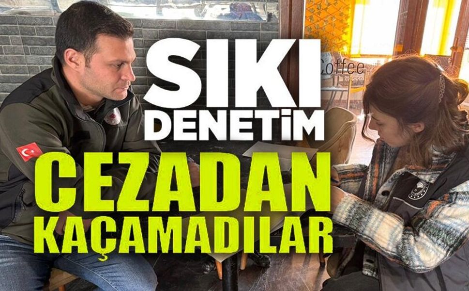 GIDA İŞLETMELERİNE DENETİM