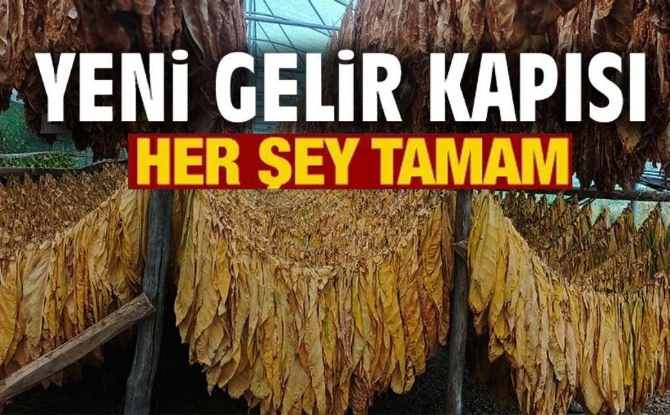TÜTÜN VE İPEKBÖCEĞİ İÇİN İLK ADIM ATILDI