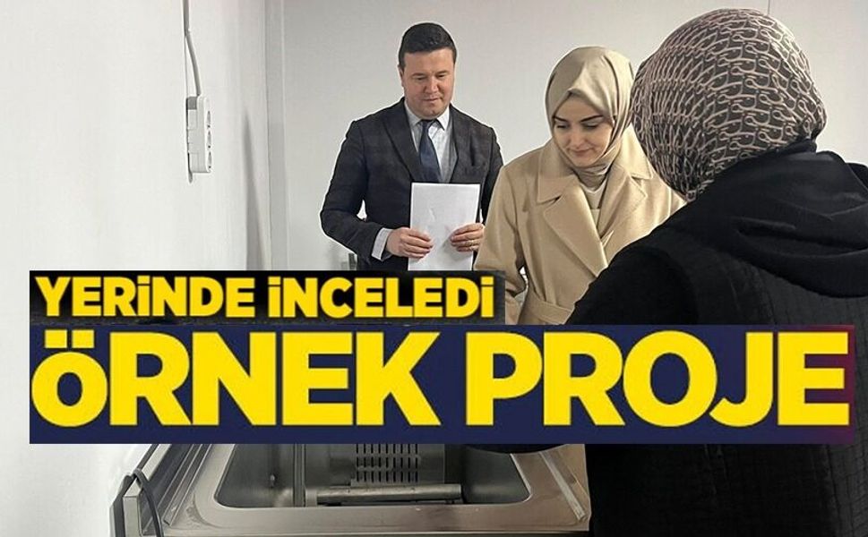 YEREL KALKINMAYA ÖRNEK PROJE İNCELENDİ