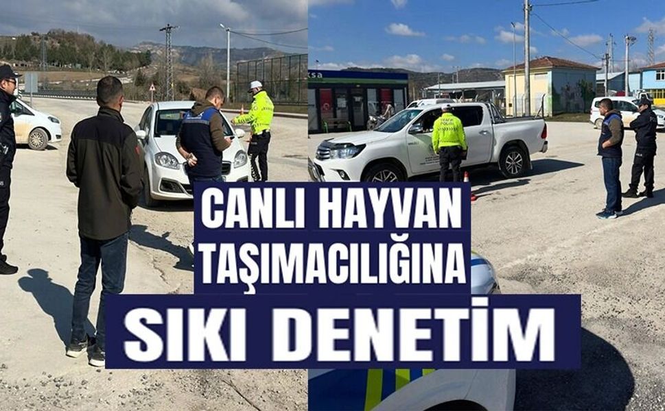 KONTROLSÜZ HAYVAN SEVKİYATLARINA YOL DENETİMİ