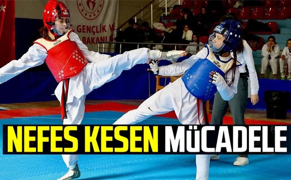 TEKVANDO YILDIZLAR İL BİRİNCİLİĞİ TAMAMLANDI