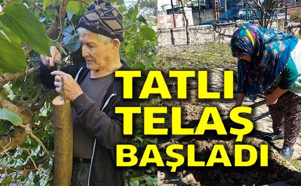 HUZUREVİNDE KALAN YAŞLILAR BAHÇEYİ GÜZELLEŞTİRİYOR