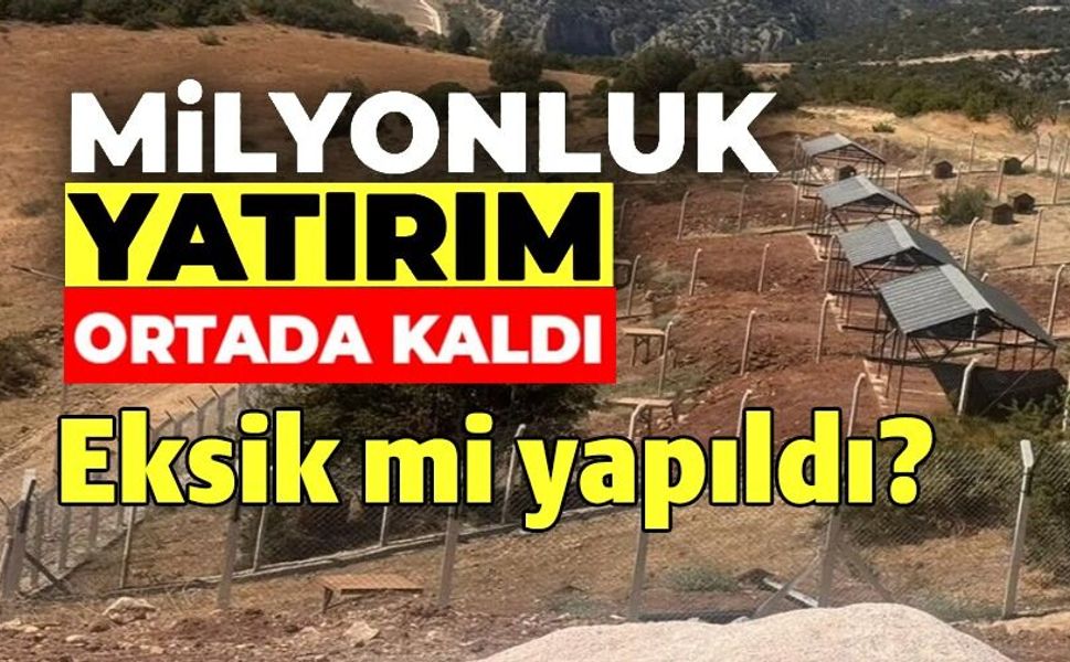 MİLYONLUK SOKAK HAYVANLARI DOĞAL YAŞAM ALANI ORTADA KALDI